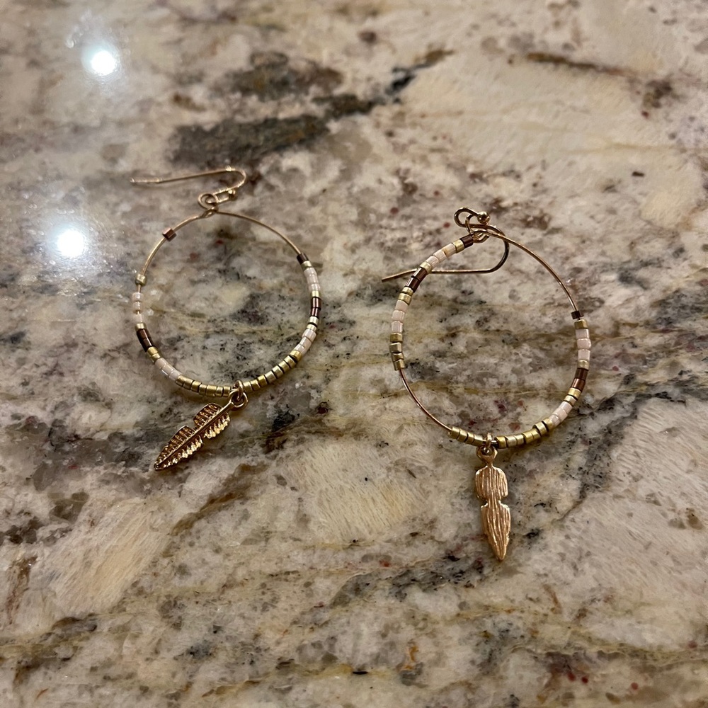 Earrings NWOT